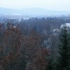 směr Lidové Sady + ZOO